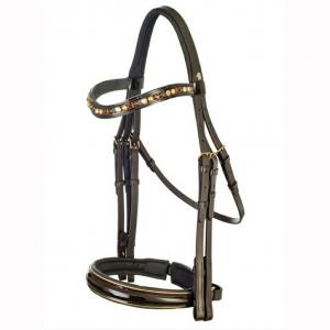 Bridle